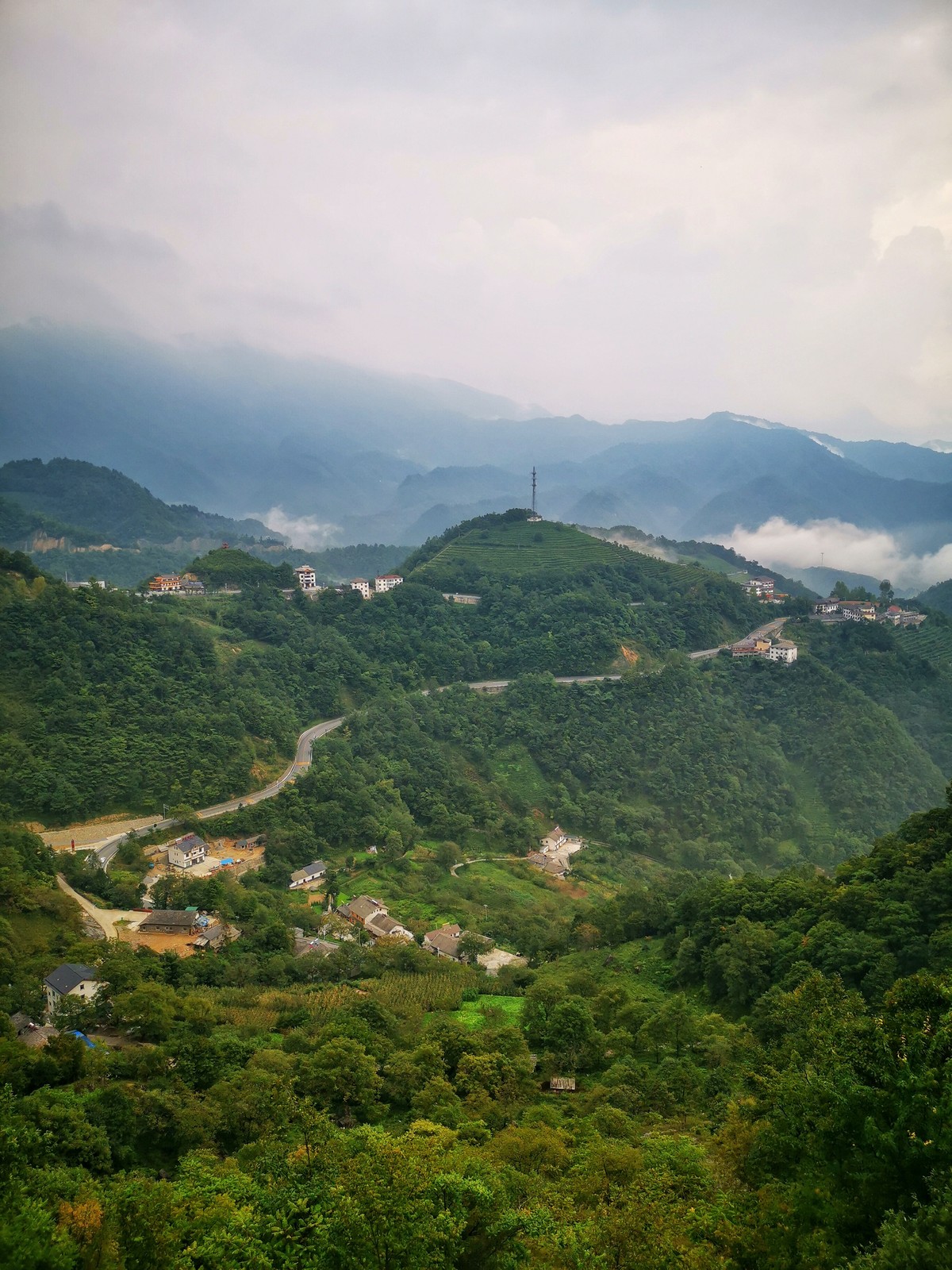 探秘生命秘境神農(nóng)架 | 手機(jī)里的中國世界遺產(chǎn)