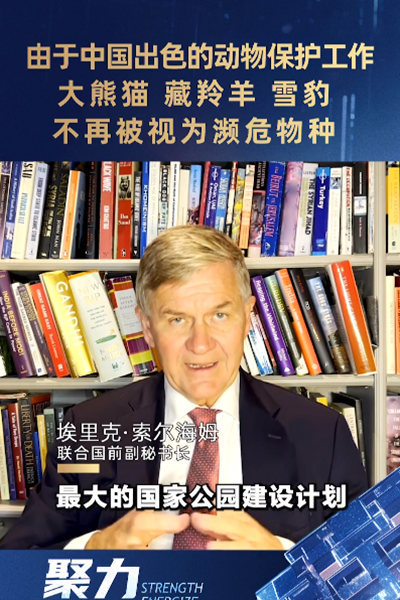 埃里克·索爾海姆：由于中國出色的動物保護(hù)工作，大熊貓、藏羚羊、雪豹不再被視為瀕危物種